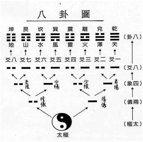 易經卜卦教學|如何學習易經？ 